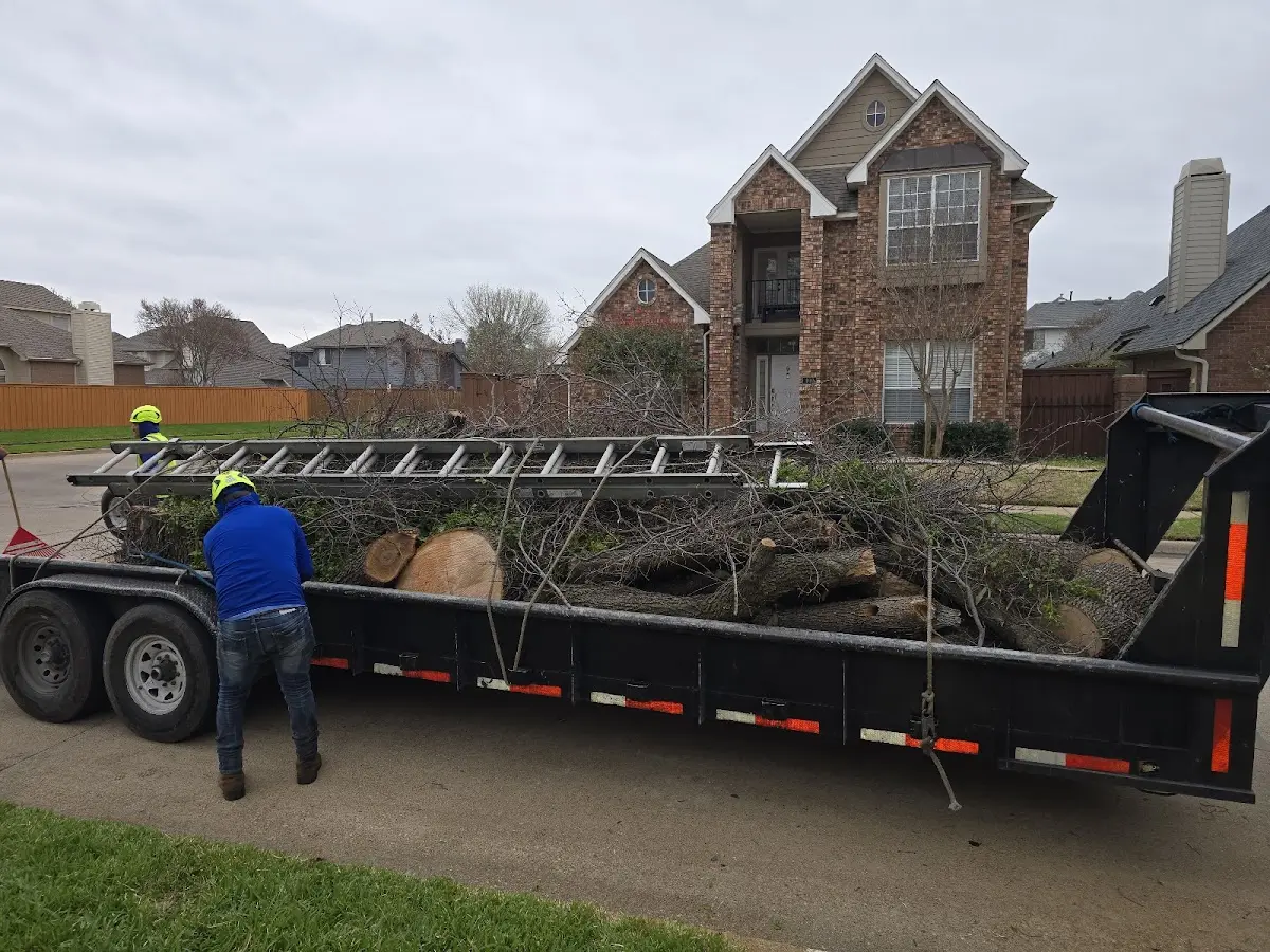 Expert Tree Fertilization with proper safety equipment in Salvo